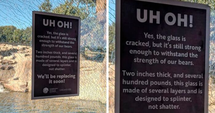 85 Random Memes To Crack You Up And Make Your Day Better