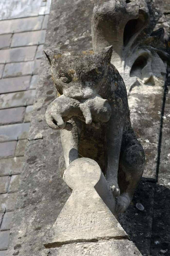 A grotesque gargoyle, one of the interesting objects that are still intact after all these years.