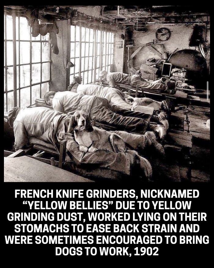 French knife grinders working with a dog by their side in 1902, a fascinating historical photo.