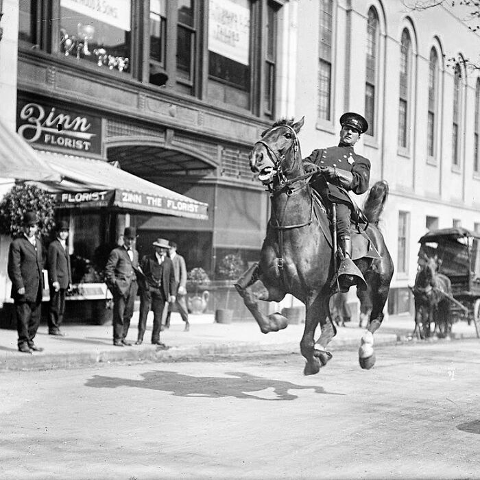 A police officer on a horse rearing up on a city street, a rare historical photo.