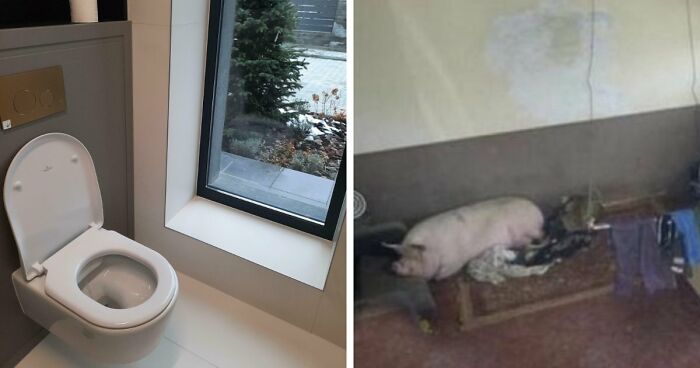 79 Unhinged Real Estate Listings That Should Come With A Trigger Warning