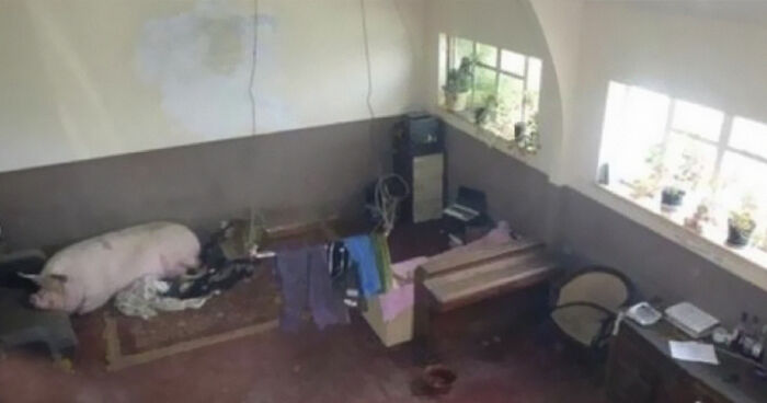 79 Unhinged Real Estate Listings That Should Come With A Trigger Warning