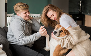 Bride-To-Be Gets Dumped 4 Months Before Wedding, Ex Suddenly Wants Shared Dog Returned