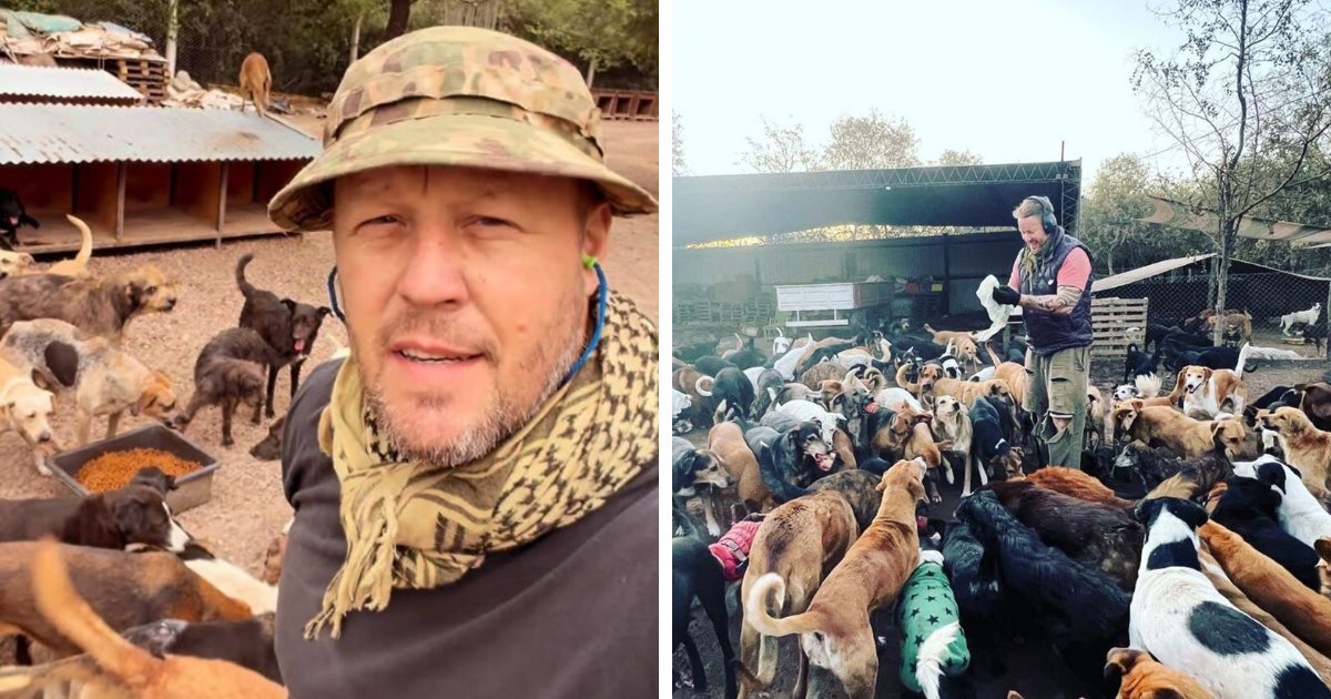 What It Takes To Care For More Than 600 Rescue Dogs: A Look Inside Refugio El Montecito