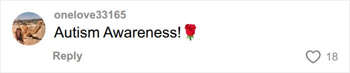 A social media comment from user onelove33165 reading Autism Awareness! with a red rose emoji, related to autism. A social media comment from user onelove33165 reading Autism Awareness! with a red rose emoji, related to autism.
