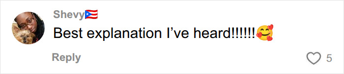 A social media comment from user Shevy with a Puerto Rican flag emoji, reading Best explanation Ive heard!!!!!!, related to autism. A social media comment from user Shevy with a Puerto Rican flag emoji, reading Best explanation Ive heard!!!!!!, related to autism.