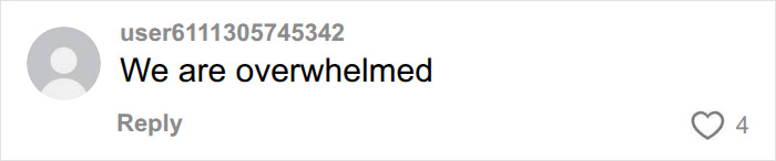 A social media comment from user user6111305745342 reading We are overwhelmed, expressing feelings about autism. A social media comment from user user6111305745342 reading We are overwhelmed, expressing feelings about autism.