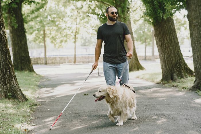 Man walking with guide dog using a white cane in a park