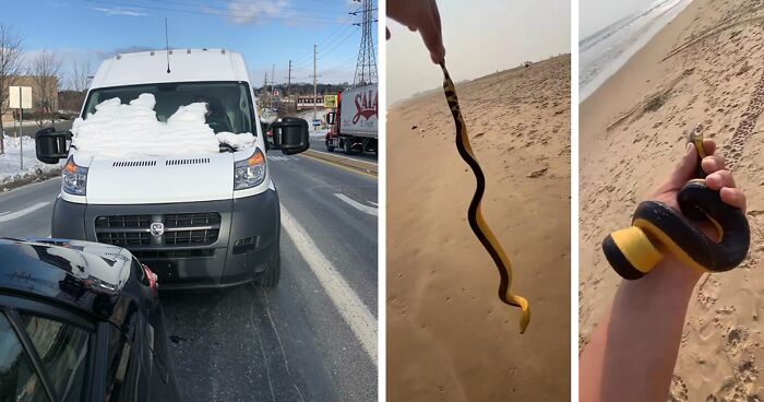64 Risky Situations That Made People Question How These Folks Have Survived This Long