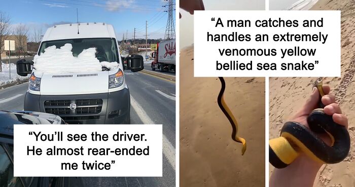 64 Risky Situations That Made People Question How These Folks Have Survived This Long