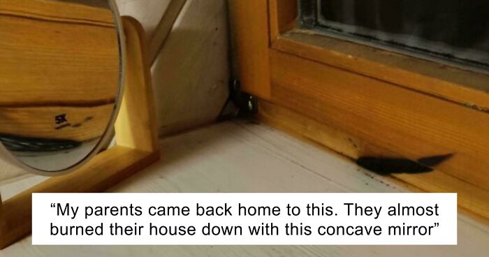 64 Risky Situations That Made People Question How These Folks Have Survived This Long