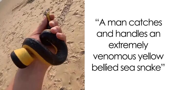 64 Risky Situations That Made People Question How These Folks Have Survived This Long