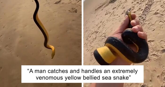 64 Risky Situations That Made People Question How These Folks Have Survived This Long