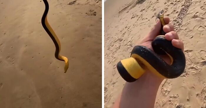 64 Risky Situations That Made People Question How These Folks Have Survived This Long