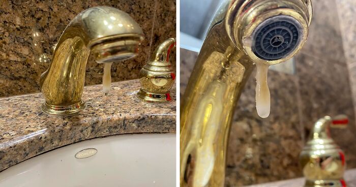 64 Risky Situations That Made People Question How These Folks Have Survived This Long