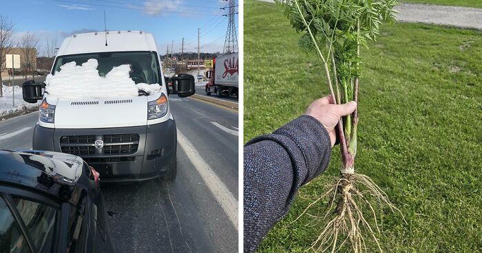 64 Risky Situations That Made People Question How These Folks Have Survived This Long