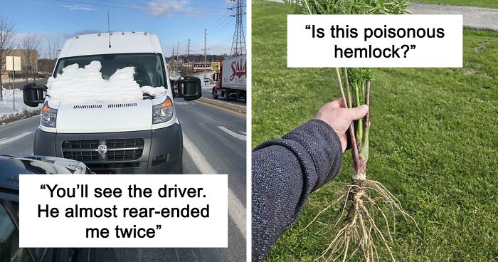 64 Risky Situations That Made People Question How These Folks Have Survived This Long