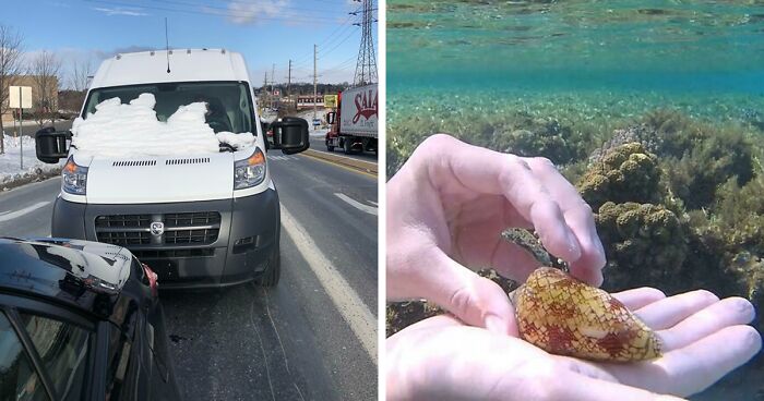 64 Risky Situations That Made People Question How These Folks Have Survived This Long