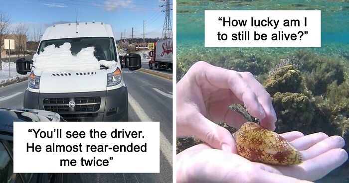 64 Risky Situations That Made People Question How These Folks Have Survived This Long