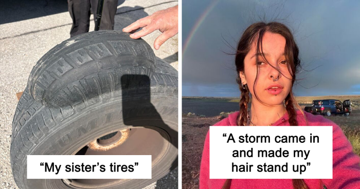 64 Risky Situations That Made People Question How These Folks Have Survived This Long