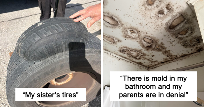 64 Risky Situations That Made People Question How These Folks Have Survived This Long