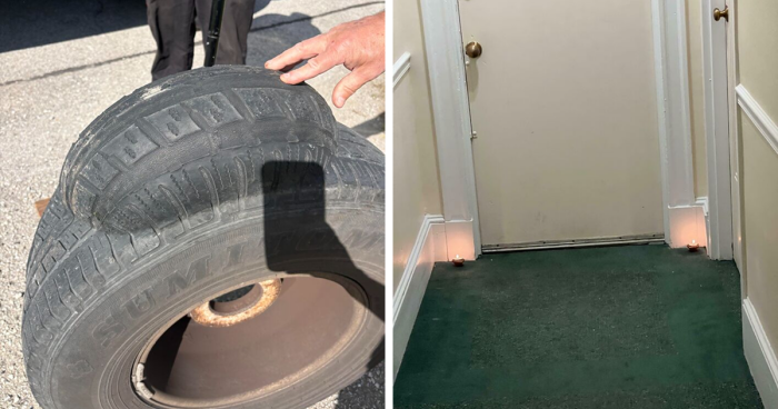 64 Risky Situations That Made People Question How These Folks Have Survived This Long