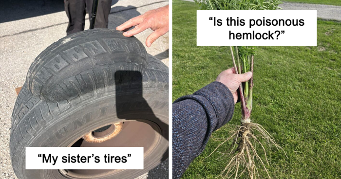64 Risky Situations That Made People Question How These Folks Have Survived This Long