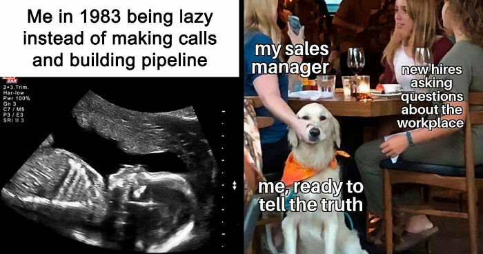 81 Hilariously Painful Memes Only Salespeople Will Truly Understand