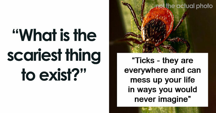 43 Terrifying Things People Just Cannot Come To Terms With