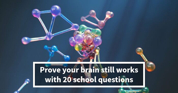 “Is Your Brain Still Classroom Sharp?”: Reveal The Truth With 20 School Questions