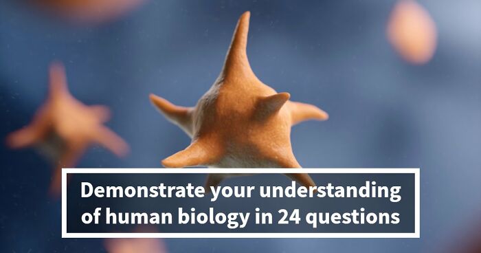 “Do You Actually Know Your Own Body?”: Test Yourself With These 24 Human Biology Questions