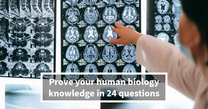 “Do You Actually Know Your Own Body?”: Test Yourself With These 24 Human Biology Questions