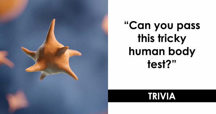 “Do You Actually Know Your Own Body?”: Test Yourself With These 24 Human Biology Questions