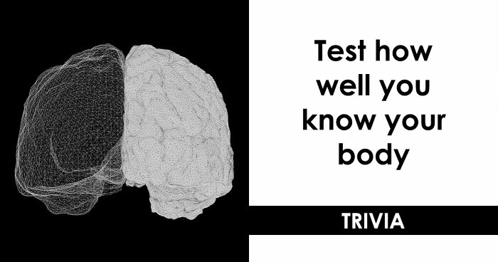 “Do You Actually Know Your Own Body?”: Test Yourself With These 24 Human Biology Questions