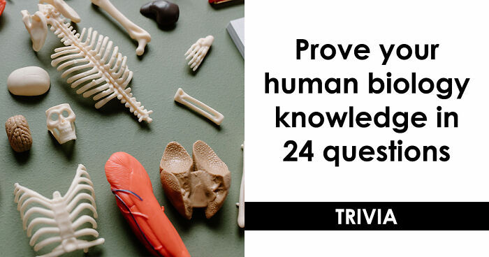 “Do You Actually Know Your Own Body?”: Test Yourself With These 24 Human Biology Questions