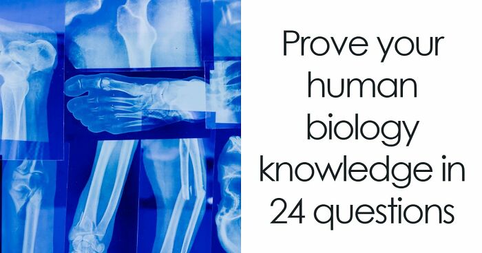 “Do You Actually Know Your Own Body?”: Test Yourself With These 24 Human Biology Questions