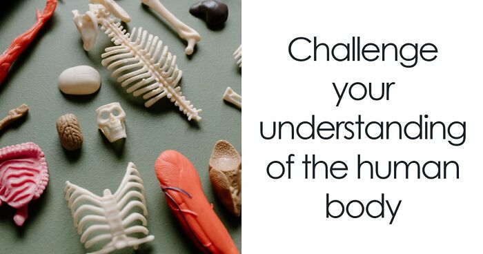 “Do You Actually Know Your Own Body?”: Test Yourself With These 24 Human Biology Questions