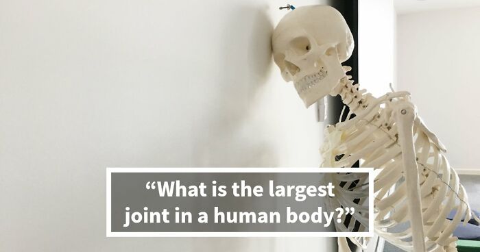 “Do You Actually Know Your Own Body?”: Test Yourself With These 24 Human Biology Questions