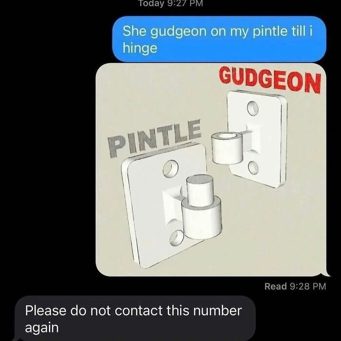 Text message meme showing pintle and gudgeon hinge parts with humorous context