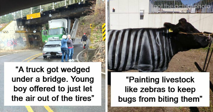 37 Times People Proved That “If It Works, It Ain’t Stupid” With These 37 Silly Solutions To Real Problems
