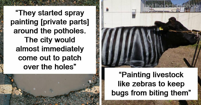 37 Times People Proved That “If It Works, It Ain’t Stupid” With These 37 Silly Solutions To Real Problems
