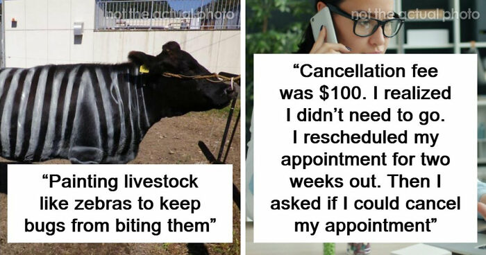37 Times People Proved That “If It Works, It Ain’t Stupid” With These 37 Silly Solutions To Real Problems