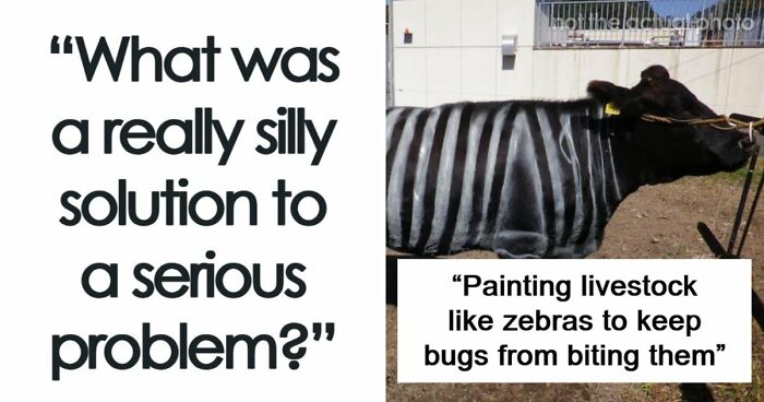 37 Times People Proved That “If It Works, It Ain’t Stupid” With These 37 Silly Solutions To Real Problems