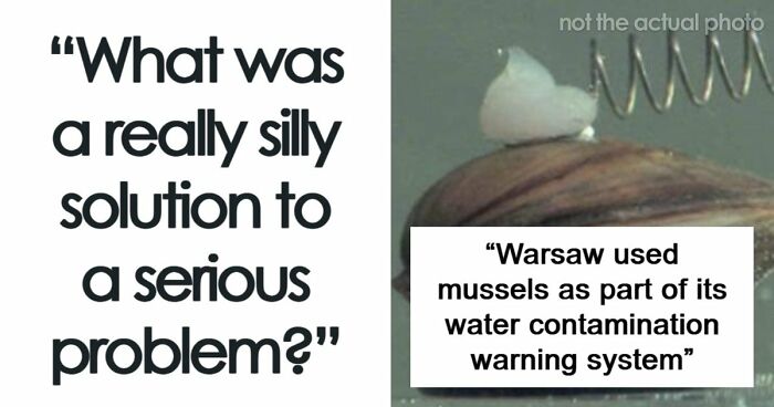 37 Times People Proved That “If It Works, It Ain’t Stupid” With These 37 Silly Solutions To Real Problems