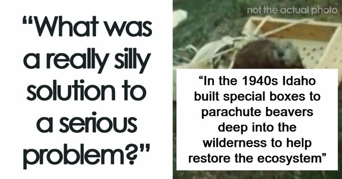 37 Times People Proved That “If It Works, It Ain’t Stupid” With These 37 Silly Solutions To Real Problems