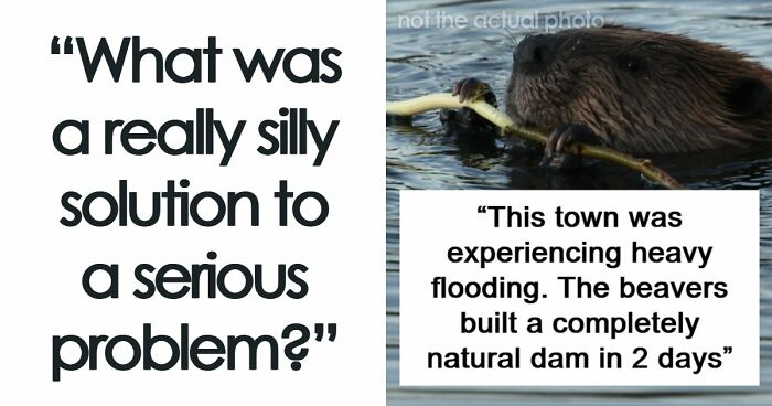 37 Times People Proved That “If It Works, It Ain’t Stupid” With These 37 Silly Solutions To Real Problems