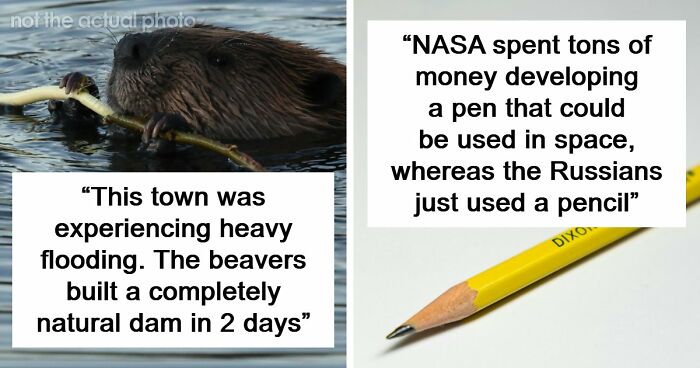37 Times People Proved That “If It Works, It Ain’t Stupid” With These 37 Silly Solutions To Real Problems
