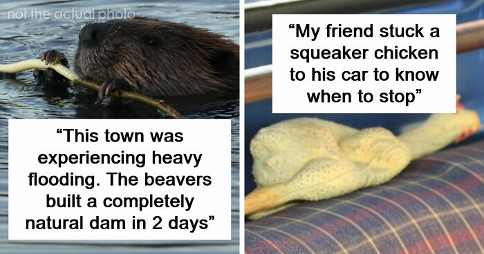 37 Times People Proved That “If It Works, It Ain’t Stupid” With These 37 Silly Solutions To Real Problems