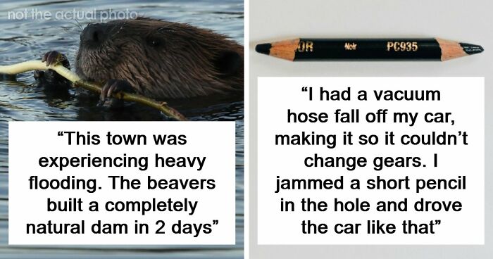 37 Times People Proved That “If It Works, It Ain’t Stupid” With These 37 Silly Solutions To Real Problems