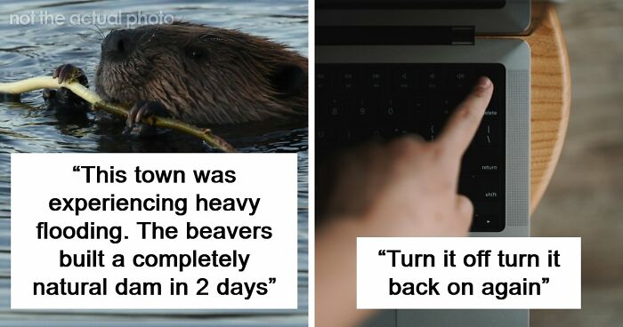 37 Times People Proved That “If It Works, It Ain’t Stupid” With These 37 Silly Solutions To Real Problems